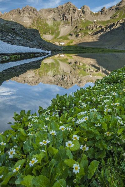 CO, San Juan Mts Lake reflection and marigolds